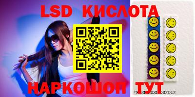 шишки Донской