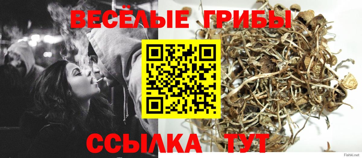 Псилоцибиновые грибы ЛСД  Вход с VPN  даркнет сайт  Гуково 