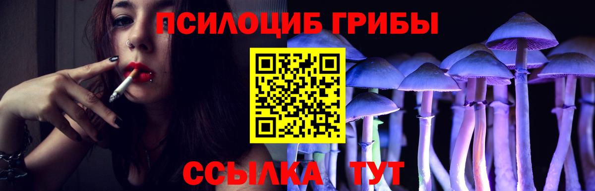 Псилоцибиновые грибы мухоморы Гуково